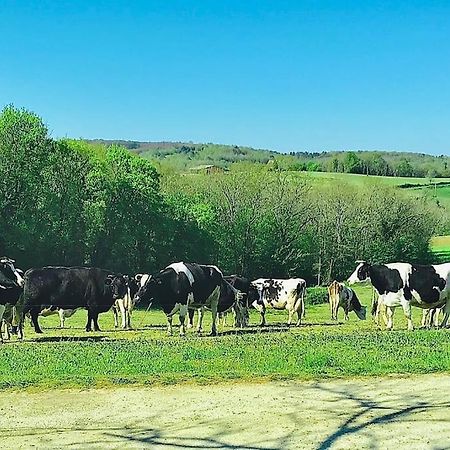 « Le Vieux Hangar » Gite A La Ferme Truffe Екстериор снимка